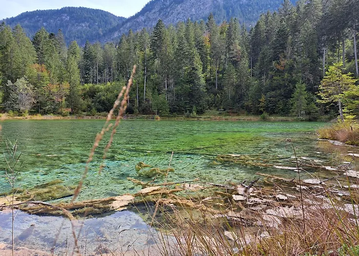 Haus Weissenbach Apartman