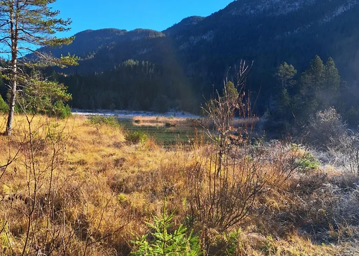 Apartman Haus Weissenbach